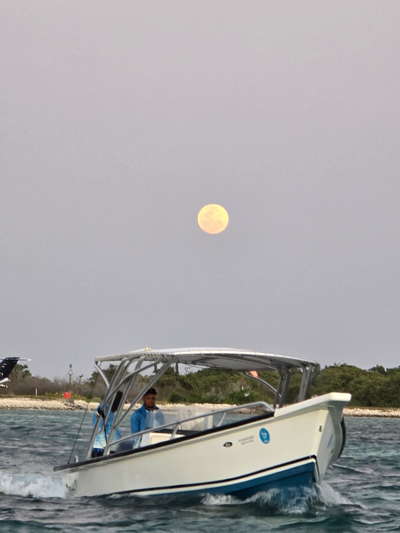 posada-la-gotera-bajo-la-luna-los-roques